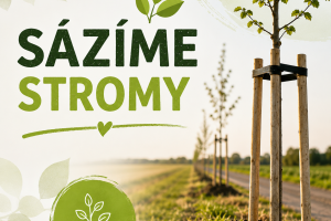 Sázíme stromy