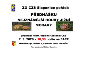 houby