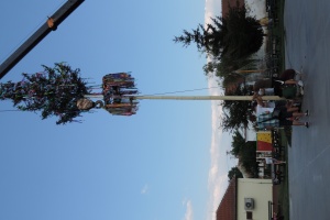 DSCN9766