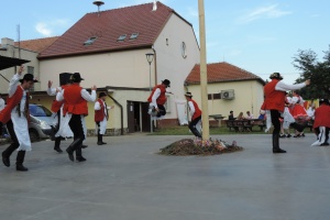 DSCN9870