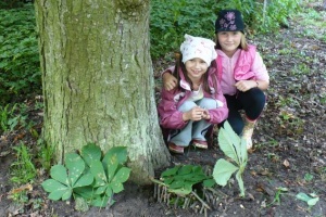 foto_1031